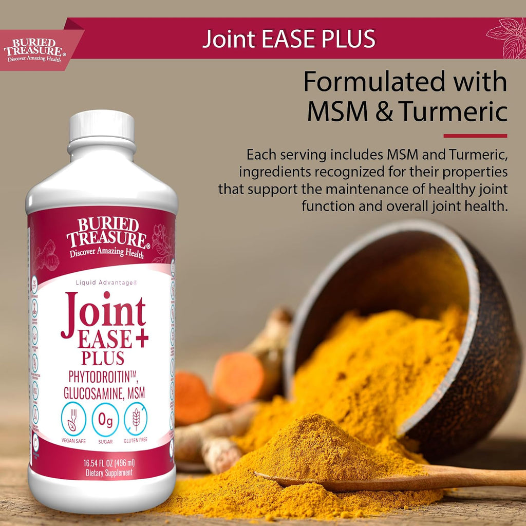 Buried Treasure Joint Ease Plus - 473 ml, Glucosamine and Chondroitin with MSM and Turmeric, Joint Supplement