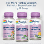 Solaray Albahaca Santa 1000 mg - Tulsi Adaptogeno con Ácido Ursólico - Suplemento Vegano