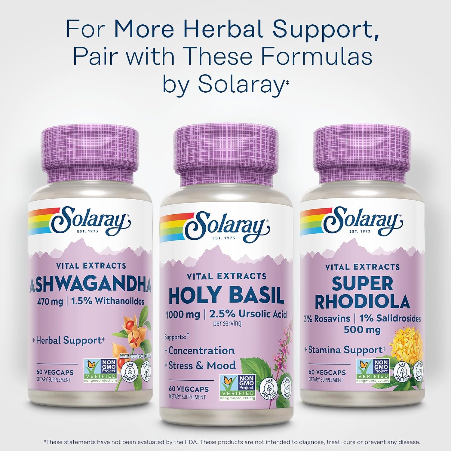 Solaray Albahaca Santa 1000 mg - Tulsi Adaptogeno con Ácido Ursólico - Suplemento Vegano