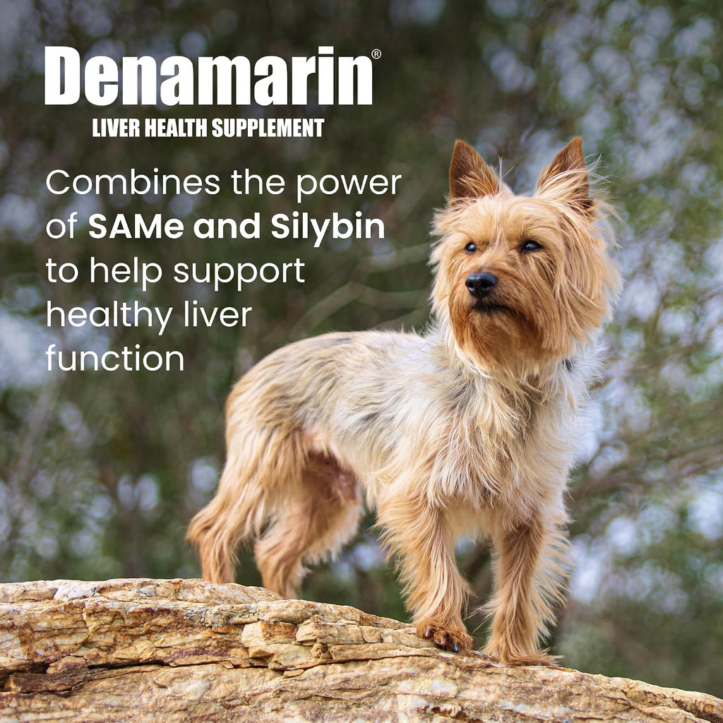 Nutramax Denamarin para Perros y Gatos Pequeños - Suplemento Hepático con SAMe y Silibina, 30 Comprimidos Recubiertos