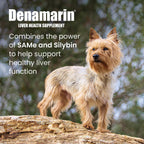 Nutramax Denamarin para Perros y Gatos Pequeños - Suplemento Hepático con SAMe y Silibina, 30 Comprimidos Recubiertos