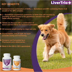 Comprehensive Liver Supplement (2 Pack - 60ct), Combining SAMe, SPC, Silybin A+B, Glutathione, Chew Tabs for Dogs 30Ct (2X Small - Medium)