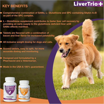 Comprehensive Liver Supplement (2 Pack - 60ct), Combining SAMe, SPC, Silybin A+B, Glutathione, Chew Tabs for Dogs 30Ct (2X – Image 9