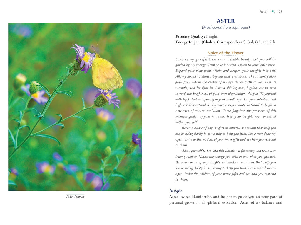 Plant Energy Medicine: The Guiding Voice and Healing Vibration of 58 Plants (Sacred Planet)