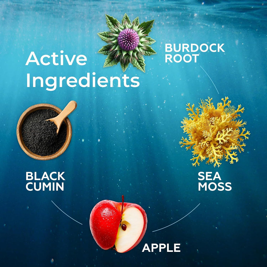 TrueSeaMoss Irish Sea Moss Gotas Líquidas – Aceite de Semilla Negra, Extracto de Bladderwrack, Raíz de Bardana, Vitamina C y Zinc – Sabor Manzana – 30 Dosis