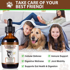 Cola de Pavo para Perros, Rápida Absorción - Gotas con Cúrcuma y Probióticos para el Sistema Inmunológico, Digestivo y Articular - 60ml