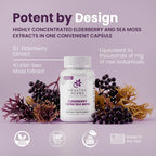 Healthy Herbs Wildcrafted Elderberry Sea Moss Capsules | 2600mg Irish Sea Moss + Elderberry | Vegano, No-GMO (60 Cápsulas)