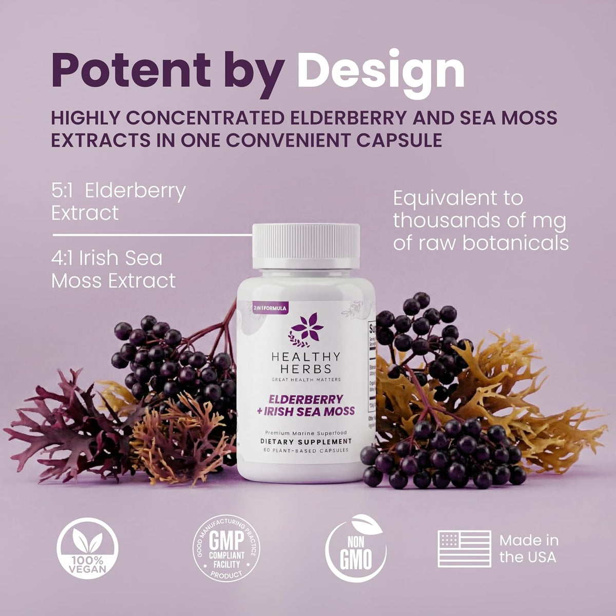 Healthy Herbs Wildcrafted Elderberry Sea – Elderberry (Baya del Saúco): Rica en flavonoides y antioxidantes. – Image 4
