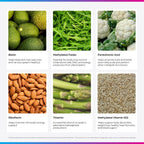 Livingood Daily Complejo B Metilado | 11 Formas Activas de Vitaminas B | Vegano y Sin Gluten | 30 Cápsulas