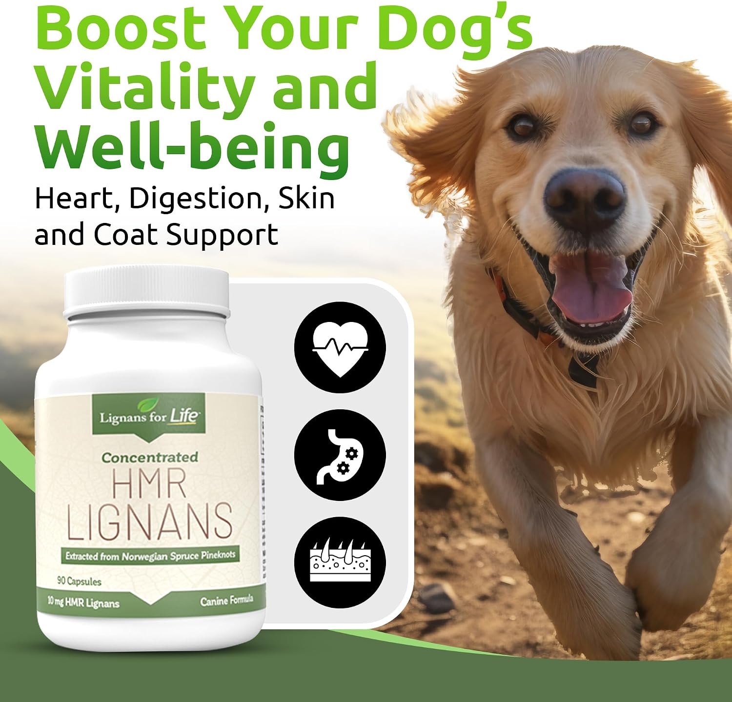 HMR Lignans 10 mg Cápsulas - Multivitamínico para Perros