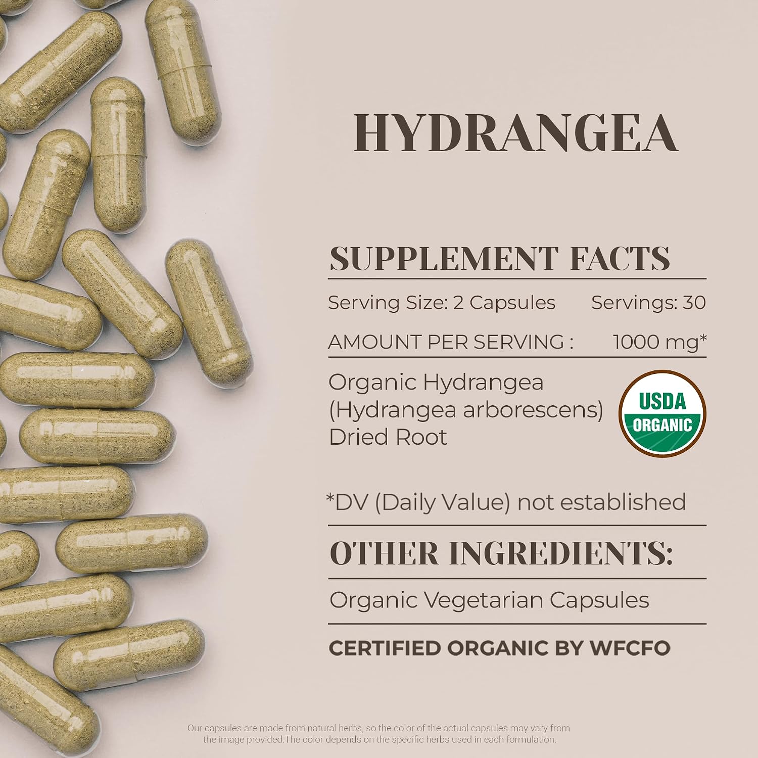 Hydrangea USDA Orgánico 60 Cápsulas | Sistema Circulatorio
