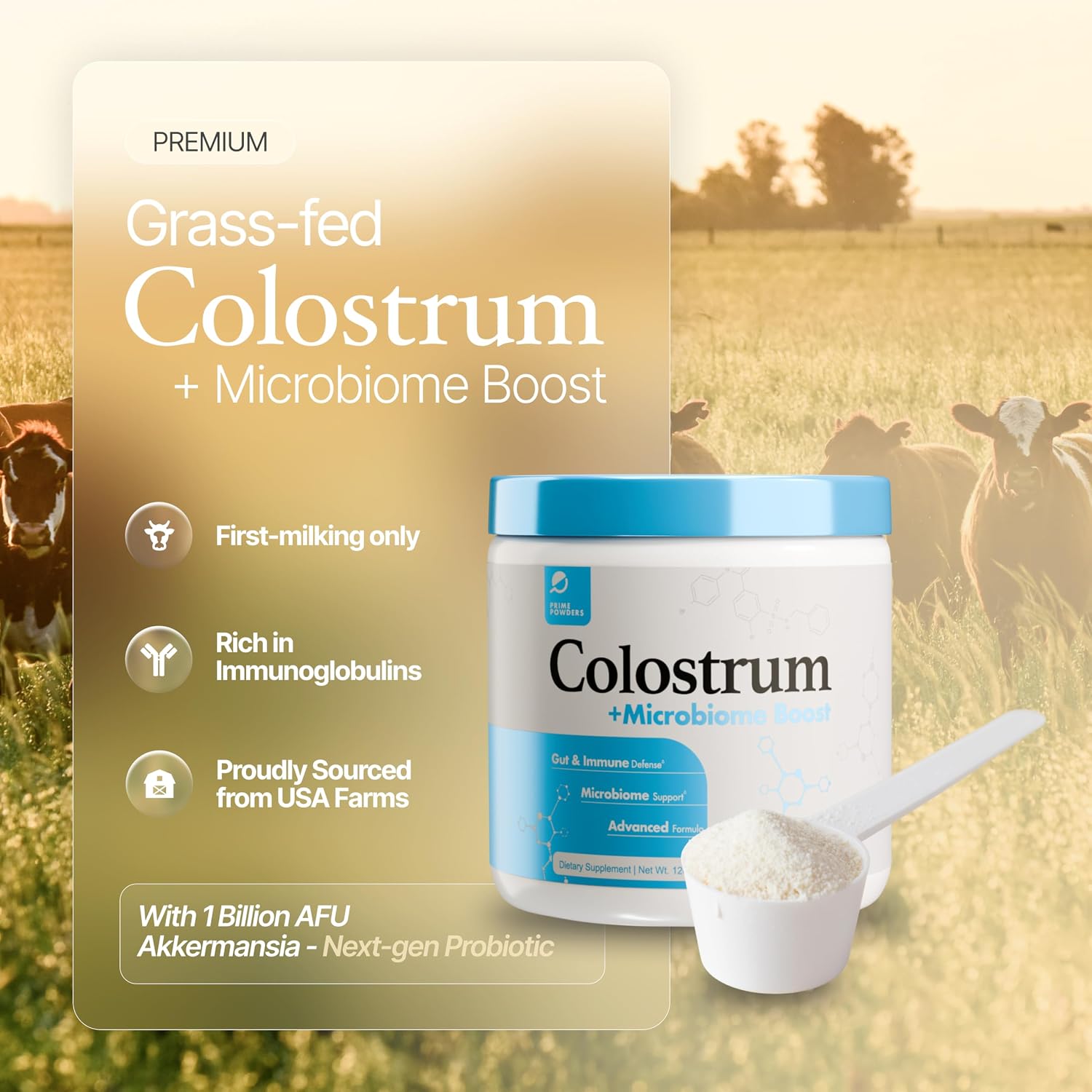 Prime Powders Colostrum Powder con Probiótico Akkermansia - 120 Dosis