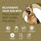 waggedy Daily Essentials Adult Soft Chews - Multivitamínico para Perros (120 Chews Blandos)