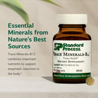 Standard Process Trace Minerals-B12 - Complejo de Minerales Traza con Vitamina B12 - 90 Comprimidos