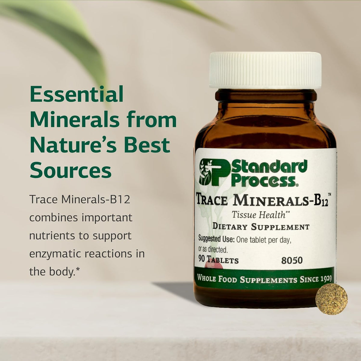 Standard Process Trace Minerals-B12 - Complejo de Minerales Traza con Vitamina B12 - 90 Comprimidos – Image 3