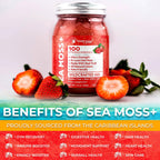 Gel de Sea Moss Silvestre con Sabor a Fresa - Superalimento Rico en Vitaminas y Minerales - Apoyo Inmunitario y Digestivo - 283 g