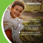 NaturesPlus Animal Parade Calcio sin Azúcar para Niños, Sabor Sundae de Vainilla - 90 Tabletas Masticables con Forma de Animales