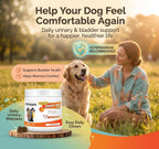120 Cranberry Supplement for Dogs - Bladder Control for Dogs - Urinary Tract Support - Vitamin B6 & L-Arginine - Cranberry Chews with D-Mannose - Immune & Gut Support