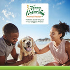 Terry Naturally Curacel Curcumin - Suplemento Antioxidante para Perros - 60 Cápsulas Blandas