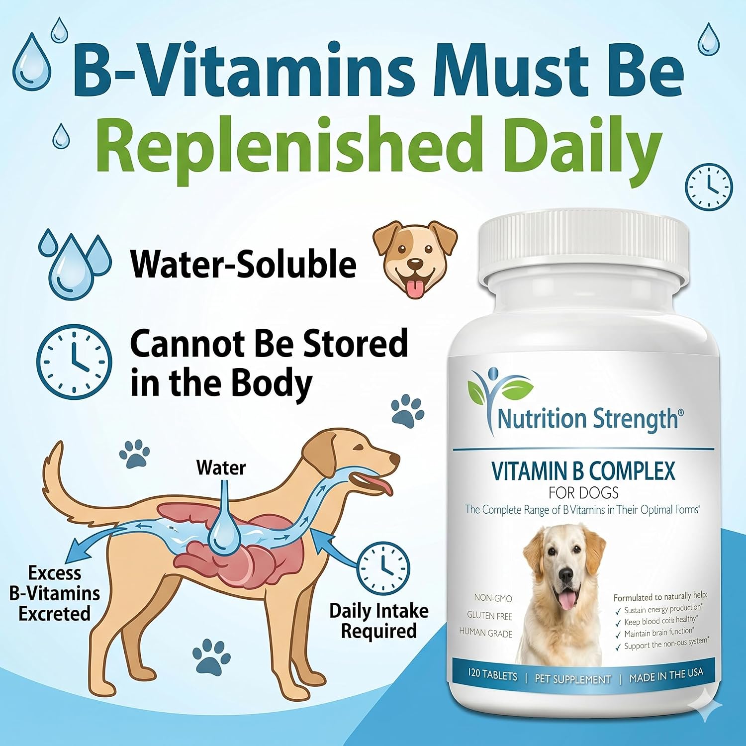 Nutrition Strength Complejo B para Perros, 120 Comprimidos Masticables