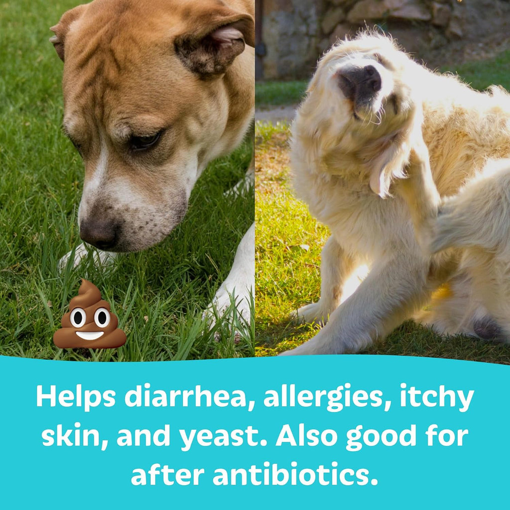 Tails 'N' Tummies Probióticos para Perros - 60 Tabletas para Alergias, Picazón y Salud Digestiva