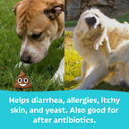 Tails 'N' Tummies Probióticos para Perros - 60 Tabletas para Alergias, Picazón y Salud Digestiva
