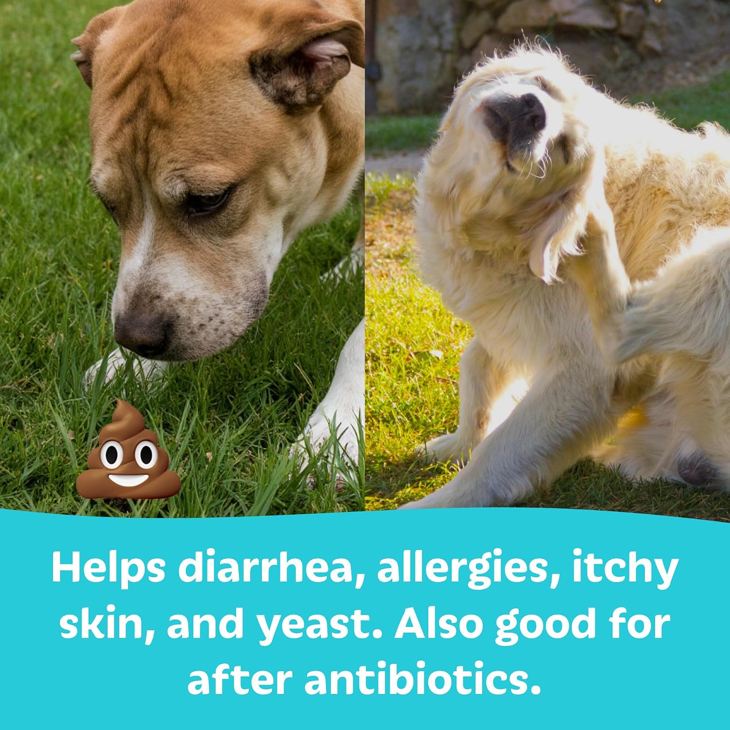 Tails 'N' Tummies Probióticos para Perros - 60 Tabletas para Alergias, Picazón y Salud Digestiva