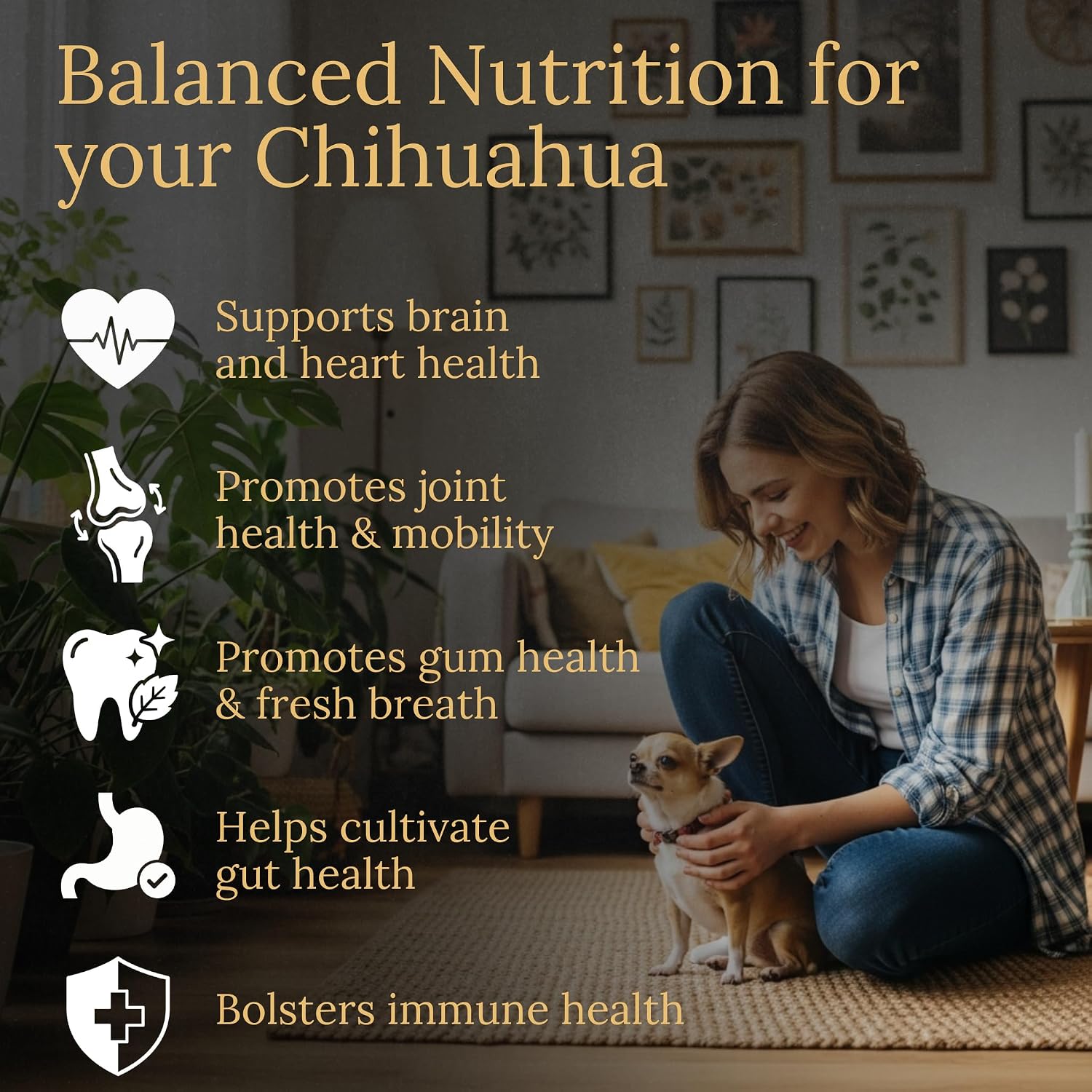 Prestige Breed Multivitamínico para Chihuahuas, Nutrición Equilibrada, 90 Comprimidos, Fabricado en USA con Auténtico Bacon