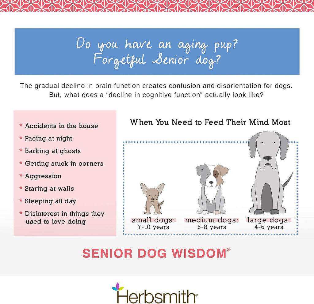 Herbsmith Senior Dog Wisdom – Complemento para la salud cerebral en perros senior – 150 g