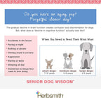 Herbsmith Senior Dog Wisdom – Complemento para la salud cerebral en perros senior – 150 g