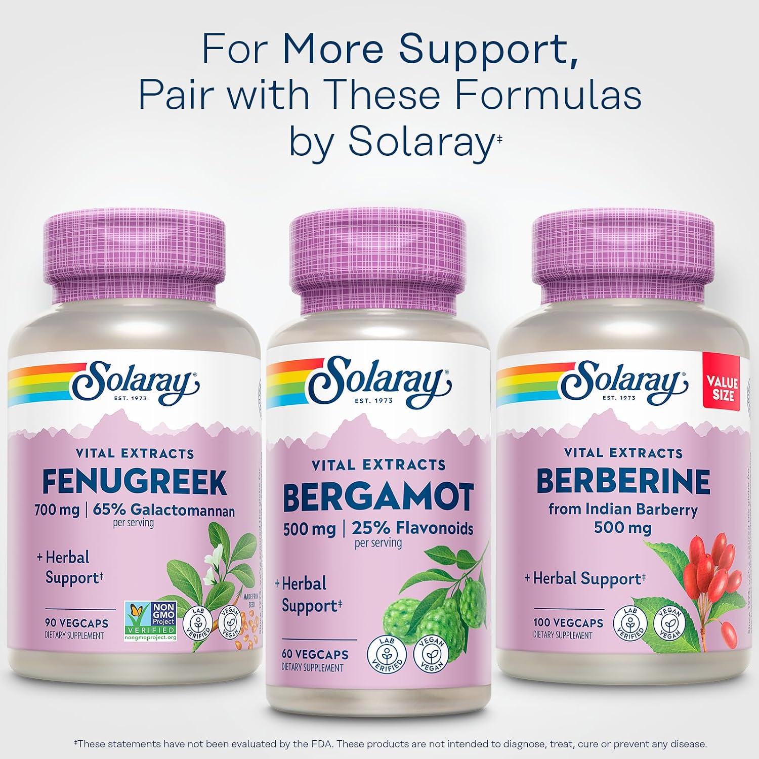 SOLARAY Fenugreek Seed Extract 700 mg - Vegan Capsules with 65% Galactomannan - 90 Capsules