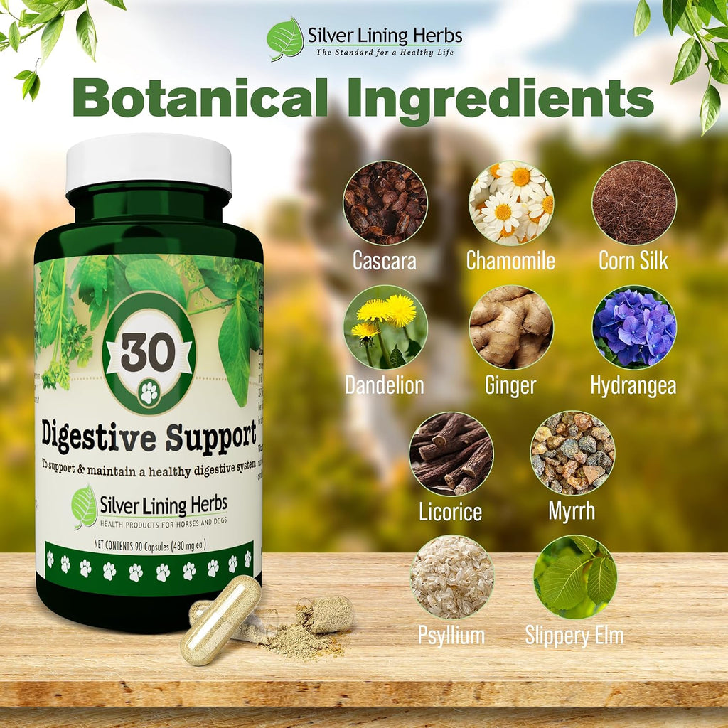 Digestive Support for Dogs - Natural Herbal Supplement - 90 Capsules
