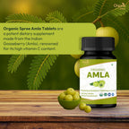 ORGANIC SPREE Comprimidos de Amla Orgánica - 1200 mg por ración - 120 comprimidos (Pack de 3)