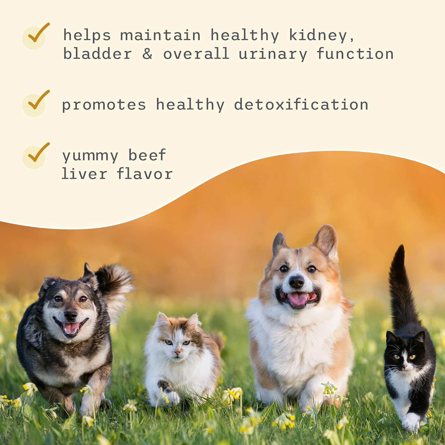 Bark & Whiskers Urinary Support for Dogs - 90g (3.17 oz) - with Cranberry and D-Mannose