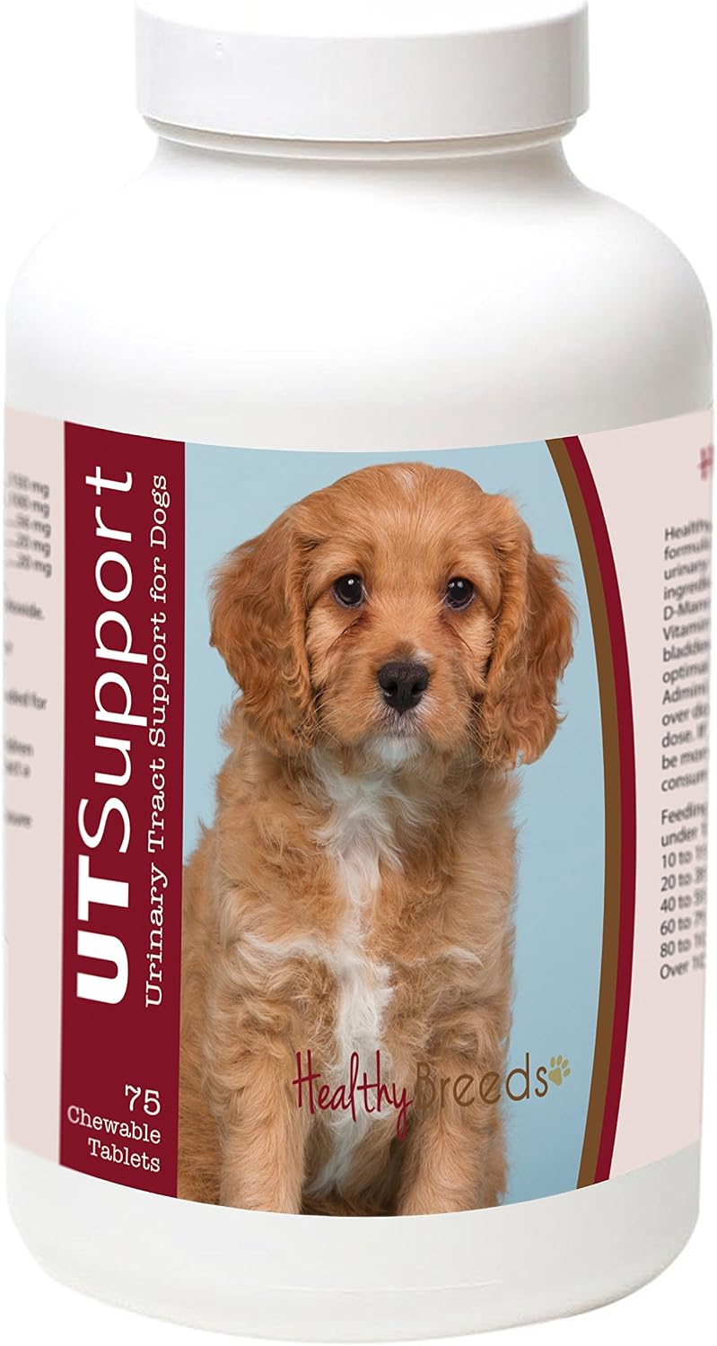 Healthy Breeds Cavapoo Cranberry Chewables - Masticables de Arándano para el Soporte Urinario - 75 unidades