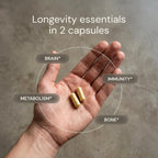 Blueprint Essential Capsules - Multivitamínico Diario con Calcio, Vitamina D y Zinc (30 Cápsulas)