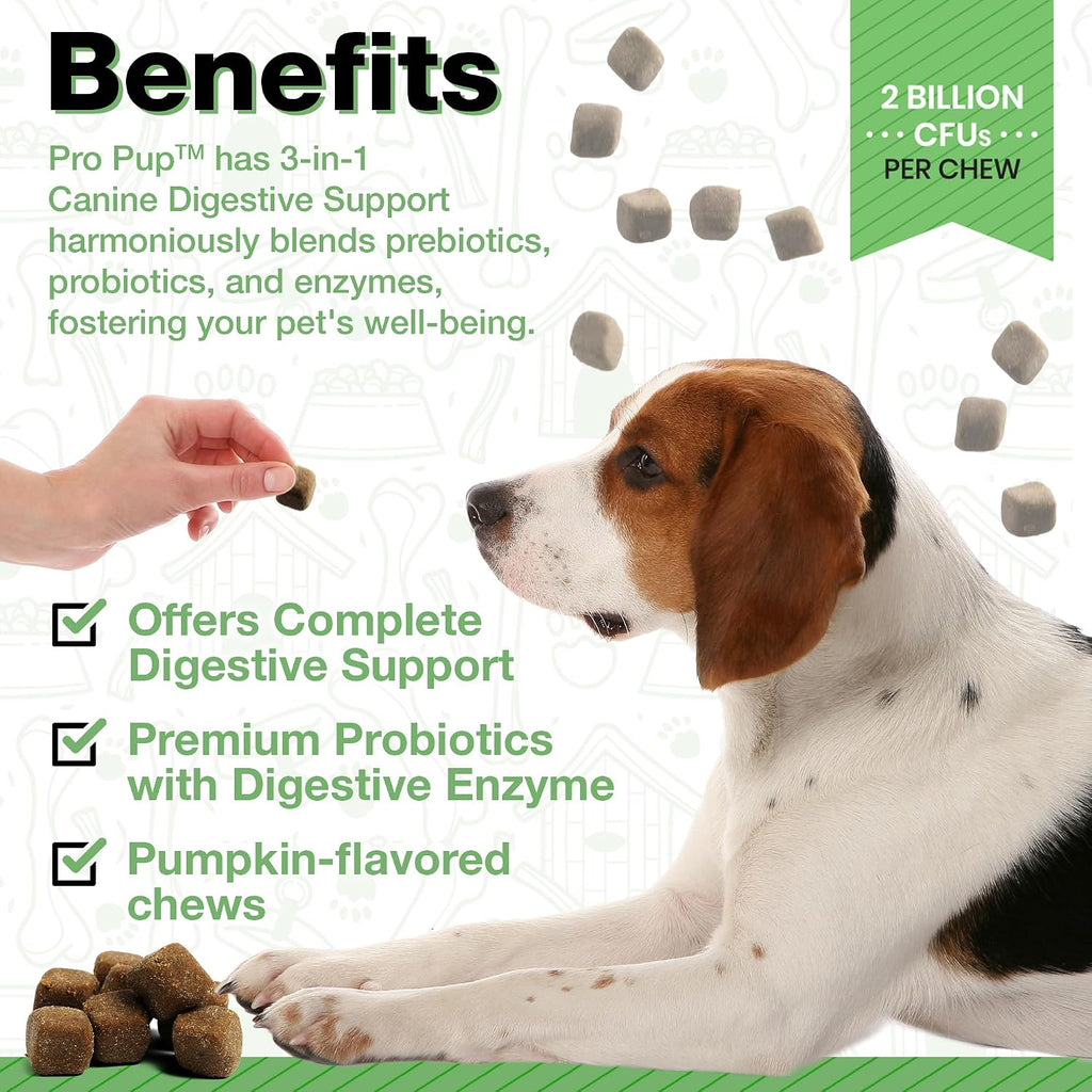Probióticos para Perros Pawlife - 240 Masticables Sabor Calabaza