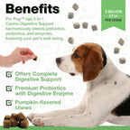 Probióticos para Perros Pawlife - 240 Masticables Sabor Calabaza