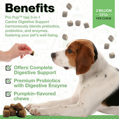 Probióticos para Perros Pawlife - 240 – Digestión normal: Favorecen la descomposición y absorción de los – Image 2