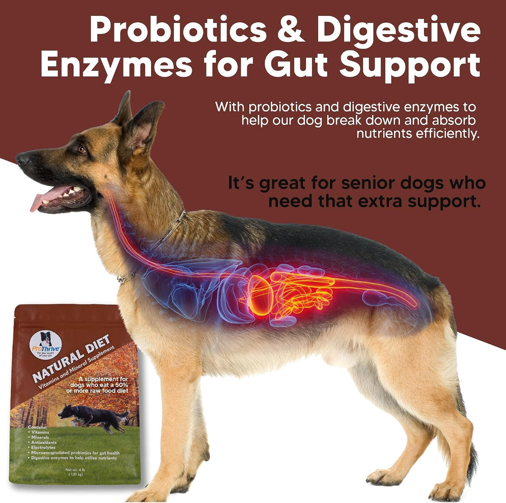 ProThrive Canine Natural Diet Supplement - Complemento Nutricional en Polvo para Perros, 1.8 kg