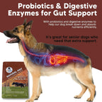 ProThrive Canine Natural Diet Supplement - Complemento Nutricional en Polvo para Perros, 1.8 kg