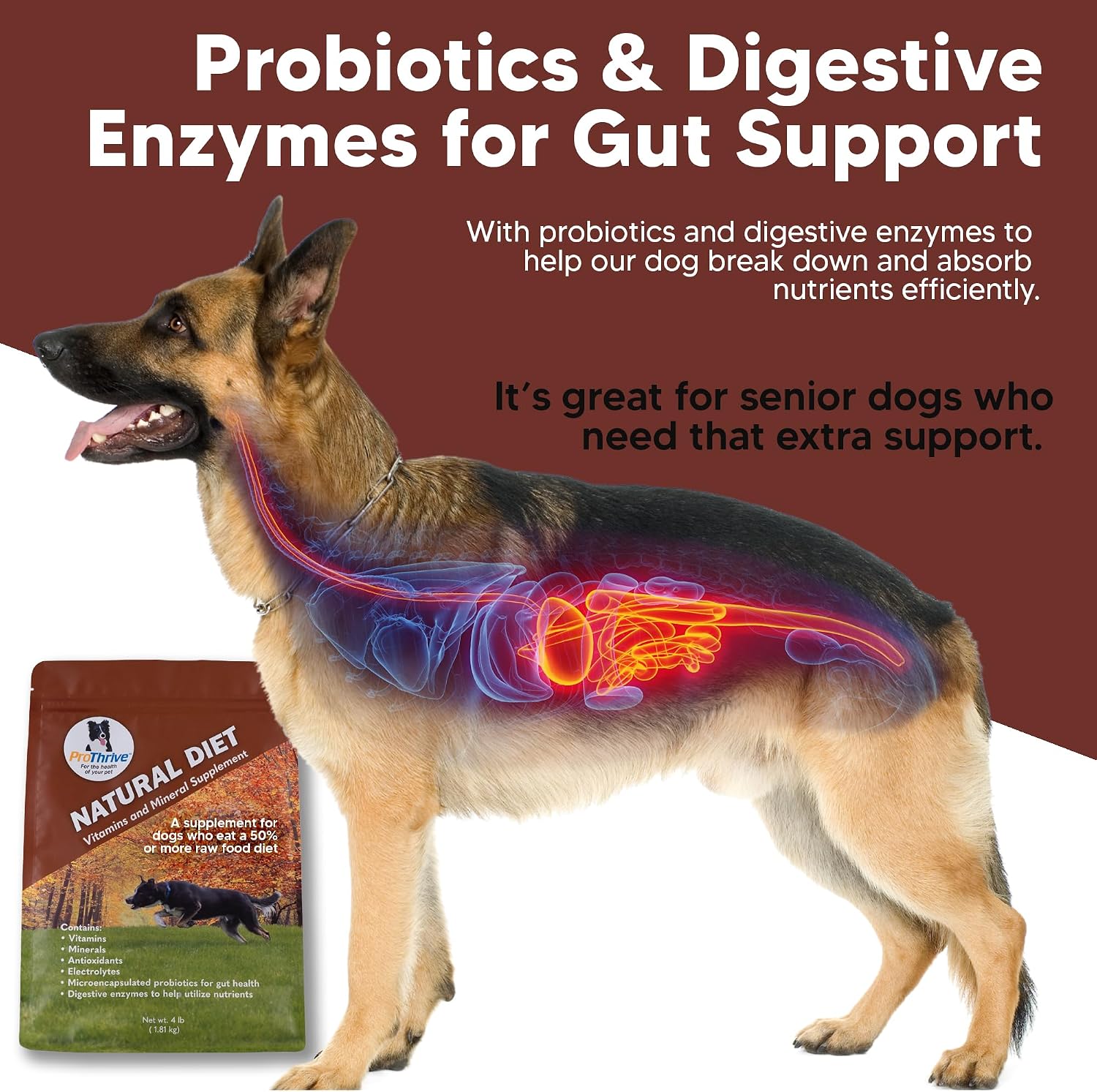 ProThrive Canine Natural Diet Supplement - Complemento Nutricional en Polvo para Perros, 1.8 kg