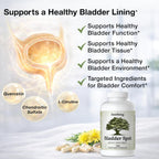 Bladder Rest - Salud de la Vejiga y Soporte para el Revestimiento Natural - 120 Cápsulas