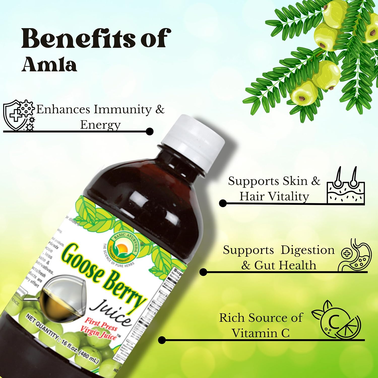 Basic Ayurveda Amla (Indian Gooseberry) Juice | 480 ml | Rich in Natural Vitamin C for Immunity, Skin & Hair | Ayurvedic Detox | No Added Sugar