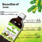Basic Ayurveda Amla (Gooseberry) Juice | 32.46 Fl Oz (960ml) | Rich in Natural Vitamin C for Immunity, Skin Glow & Hair Health | Herbal Detox & Daily Ayurvedic Wellness Drink | No Added Sugar
