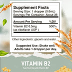 HoneyCombs Gotas de Alta Potencia de Vitamina B1 (Tiamina) y B2 (Riboflavina) - Sin Alcohol, Fácil Absorción