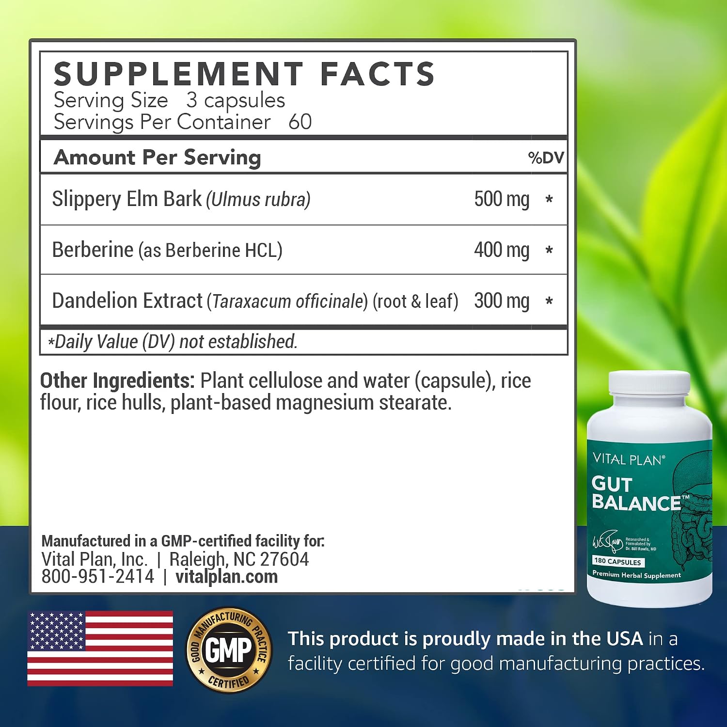 Vital Plan Gut Balance – Complemento Digestivo Avanzado con Slippery Elm, Berberina y Diente de León, 180 Cápsulas