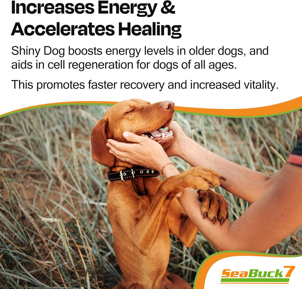 SeaBuck 7 Shiny Dog Aceite de Espino Amarillo para Perros, 60ml