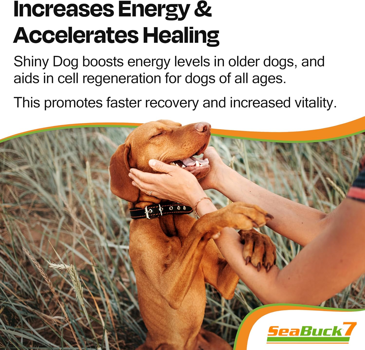 SeaBuck 7 Shiny Dog Aceite de Espino Amarillo para Perros, 60ml