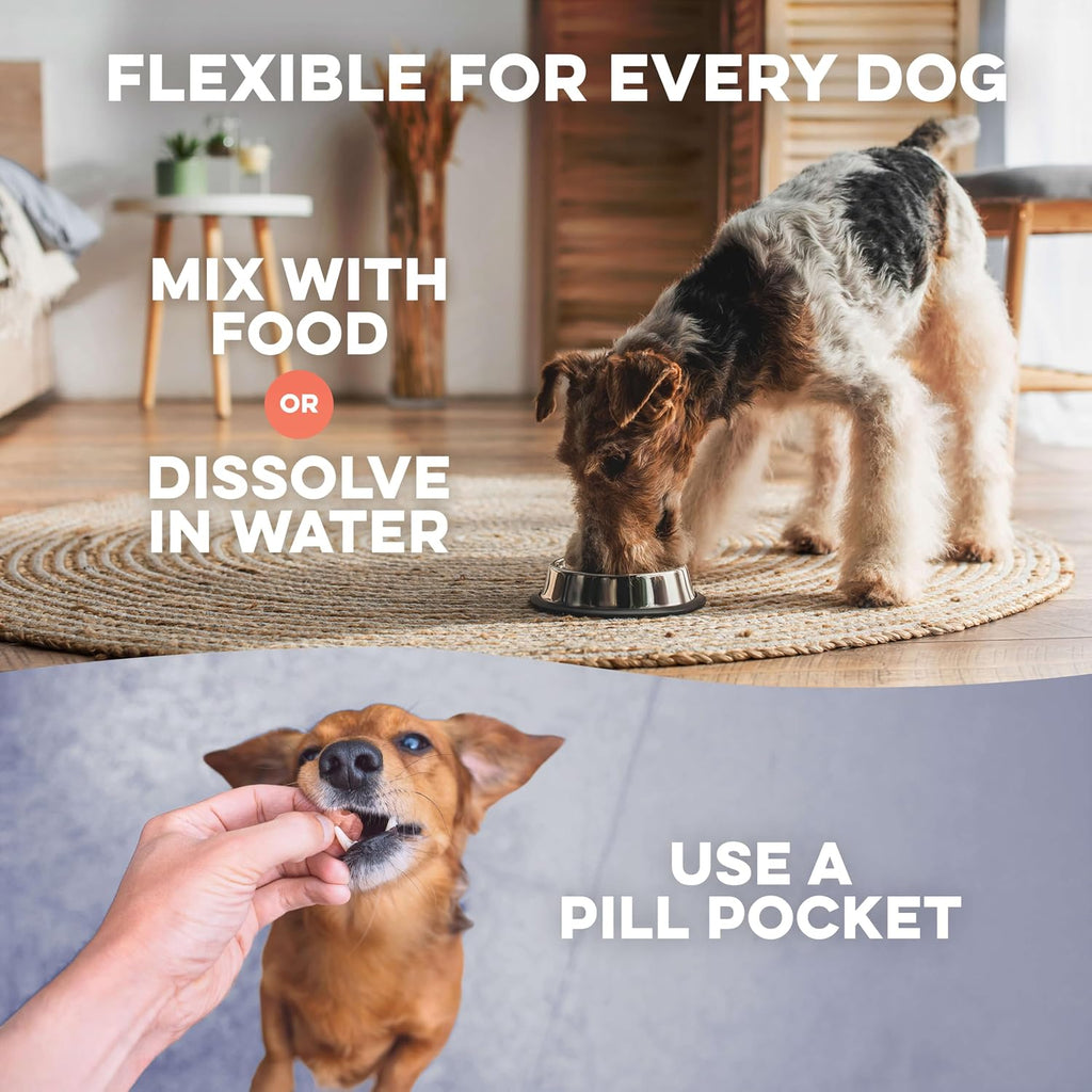 Suplemento Natural para la Piel y el Pelaje del Perro – Alivio Suave del Picor – 400 Comprimidos Pequeños Inodoros